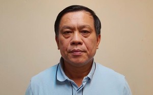 Tạm đình chỉ công tác nữ cán bộ phường hành hung người dân- Ảnh 2.