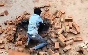 Nam thanh niên dùng tay không quật ngã báo dữ và cái kết