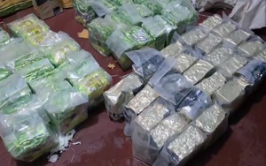 Đánh cá trên biển, ngư dân vớt được thứ trị giá 704 tỷ đồng