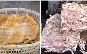 Tiêu hủy hơn 25 tấn thực phẩm đông lạnh bốc mùi hôi thối, đang bị phân huỷ