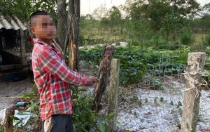 Bắt đối tượng đột nhập trang trại trộm 4 con lợn