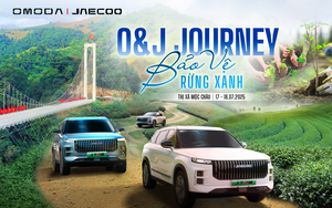 Tr&agrave;m Chim "hồi sinh", h&agrave;ng ngh&igrave;n c&aacute;nh chim trở lại - Ảnh 13.
