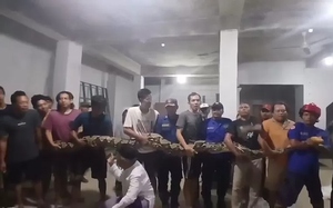 Nhìn lên cây, người đàn ông phát hiện cảnh tượng nổi da gà- Ảnh 2.