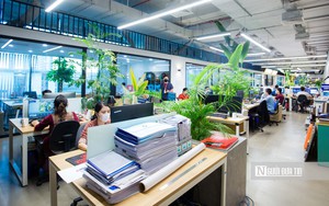 Phát hiện ổ giòi trong hốc mũi của nữ bệnh nhân - Ảnh 2.
