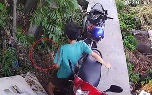 Trăn lao ra khỏi bụi rậm, tấn công nam thanh niên đang sửa xe máy