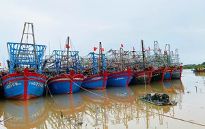 “Kiệt tác” đá triệu năm giữa nhịp thở đại dương - Ảnh 22.