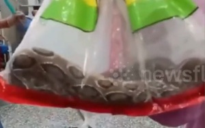 Đi dạo quanh hồ nước, nam thanh niên bắt gặp cảnh tượng nổi da gà - Ảnh 3.
