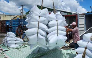 Hà Nội đẩy mạnh xuất khẩu sản phẩm OCOP tại Hội chợ xuất khẩu 2025 - Ảnh 6.