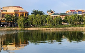 C&aacute; bớp nu&ocirc;i lồng b&egrave; ở L&yacute; Sơn chết h&agrave;ng loạt, người nu&ocirc;i thiệt hại hơn 16 tỷ- Ảnh 7.