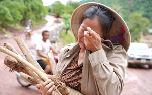 Ấm lòng nhóm thợ sửa chữa thiết bị điện miễn phí cho bà con rốn lũ Nghệ An- Ảnh 8.
