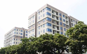 Đề xuất sửa đổi cơ chế giao đất, cho thuê đất, chuyển mục đích sử dụng đất - Ảnh 1.