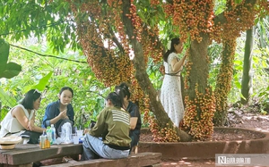 VIDEO: Ngắm hình hài gần hoàn thiện của con đường hơn 150 tỷ đồng ở Huế- Ảnh 5.
