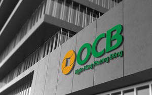 Một lãnh đạo cấp cao của OCB xin thôi nhiệm- Ảnh 2.