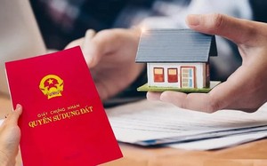 Có được đặt tên bằng tiếng nước ngoài đối với dự án đầu tư xây dựng nhà ở? - Ảnh 3.
