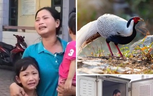 Vụ "gà lôi" trắng: Ông Thành được tại ngoại về trong vòng tay gia đình- Ảnh 2.