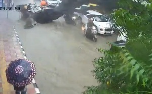 Cô gái giẫm chết 2 con cá sống trong siêu thị để mua giá ưu đãi - Ảnh 2.