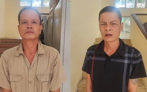 Phát hiện, bắt giữ nhiều vụ khai thác tài nguyên khoáng sản trái phép - Ảnh 2.