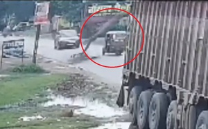 Cây xanh bật gốc, đè trúng 2 ô tô trong cơn mưa lớn - Ảnh 2.