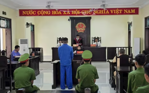 Bắt giữ đối tượng lợi dụng khiếu nại, tố cáo gây rối an ninh trật tự- Ảnh 3.