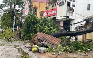 Bão số 5 đổ bộ khiến nhiều tuyến đường ở miền núi Nghệ An bị sạt lở, ngập sâu- Ảnh 5.