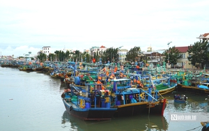 Người phụ nữ phát hiện 2 vật thể rất nguy hiểm khi đang làm vườn- Ảnh 3.