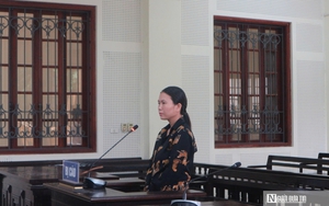 Bắt kẻ cầm đầu nhóm giả danh cán bộ tư pháp lừa hàng trăm tỷ đồng- Ảnh 3. Bắt kẻ cầm đầu nhóm giả danh cán bộ tư pháp lừa hàng trăm tỷ đồng- Ảnh 3.