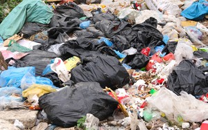 Phát hiện ma tuý mới ngụy trang tinh vi - Ảnh 4.