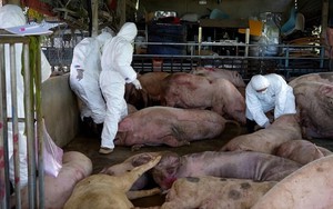 Đi đổ rác, người đàn ông bất ngờ phát hiện vật nguy hiểm vội báo và giao nộp cho công an - Ảnh 2.