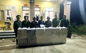 Bắt giữ đối tượng truy nã đặc biệt nguy hiểm - Ảnh 2.
