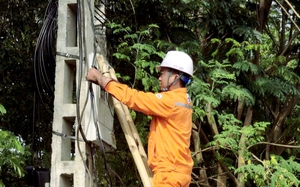 16 sản phẩm mỹ phẩm vi phạm cùng hành vi, một công ty bị xử phạt - Ảnh 4.