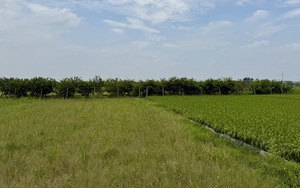 Sắp công bố điều chưa từng có về nhà ở và thị trường bất động sản- Ảnh 3.