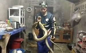 Bắt sống cá sấu dài 4,6 mét đột nhập vào nhà dân lúc nửa đêm- Ảnh 2.