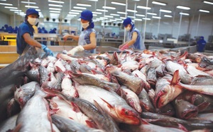 Đề xuất sửa đổi quy định về đối tượng và điều kiện mua hàng miễn thuế - Ảnh 3.