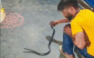 Con trai đi khám vì đau tai, mẹ sốc nặng khi thấy thứ bên trong - Ảnh 2.