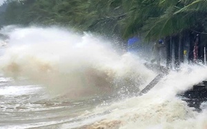 Tìm người đánh rơi túi xách tiền trên quốc lộ - Ảnh 2.