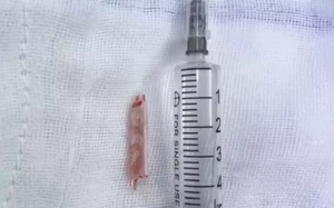 Chồng cố gắng cứu vợ bị điện giật, cả hai đều tử vong - Ảnh 2.