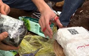 Triệt ph&aacute; th&agrave;nh c&ocirc;ng dự &aacute;n tiền ảo Gemholic, chiếm đoạt của nh&agrave; đầu tư gần 40 tỷ đồng - Ảnh 6.