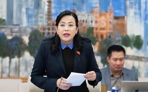 Khởi tố Tổng gi&aacute;m đốc Đồ hộp Hạ Long li&ecirc;n quan 130 tấn thịt nhiễm dịch tả lợn ch&acirc;u Phi - Ảnh 5.