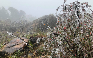 Miền Bắc sắp đ&oacute;n đợt kh&ocirc;ng kh&iacute; lạnh cực mạnh, dự b&aacute;o nơi r&eacute;t đậm nhất - Ảnh 4.