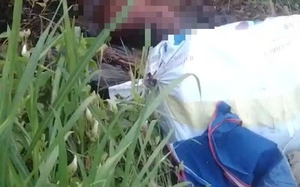 Điều tra vụ nam thanh ni&ecirc;n d&ugrave;ng vật cứng đập ph&aacute; &ocirc; t&ocirc; l&uacute;c rạng s&aacute;ng  - Ảnh 5.