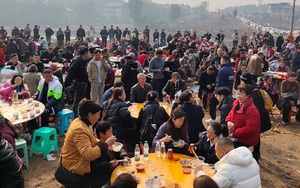 B&iacute; mật &ldquo;sống thọ&rdquo; của c&acirc;y &ocirc; liu 3.000 tuổi- Ảnh 3.