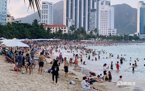 Chưa đến Tết, l&agrave;ng đ&agrave;o Nhật T&acirc;n đ&atilde; rộn r&agrave;ng - Ảnh 15.