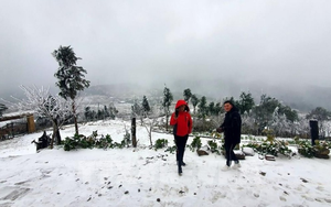 Ph&aacute;t hiện lo&agrave;i r&ugrave;a tr&aacute;n v&agrave;ng, động vật hoang d&atilde; qu&yacute; hiếm nhất thế giới ở Việt Nam- Ảnh 4.