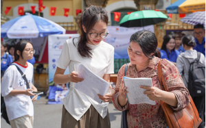 Bỏ quy đổi IELTS, trường đại học đầu ti&ecirc;n điều chỉnh phương thức x&eacute;t tuyển- Ảnh 2.