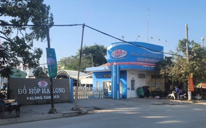 Bị ngừng việc, người lao động C&ocirc;ng ty đồ hộp Hạ Long được hỗ trợ thế n&agrave;o? - Ảnh 2.