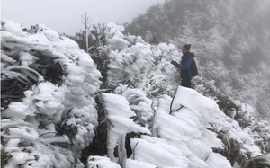 Em b&eacute; ch&agrave;o đời tr&ecirc;n t&agrave;u SE4 nhờ sự hỗ trợ kịp thời của hai nữ hộ sinh - Ảnh 6.