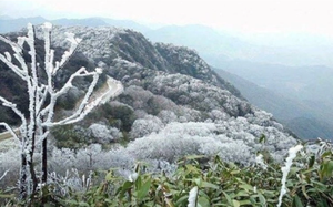 Miền Bắc sắp đ&oacute;n đợt gi&oacute; m&ugrave;a Đ&ocirc;ng Bắc cường độ mạnh, trời r&eacute;t đậm- Ảnh 2.