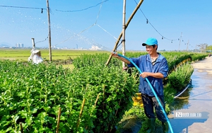 Miền Bắc sắp đ&oacute;n đợt gi&oacute; m&ugrave;a Đ&ocirc;ng Bắc cường độ mạnh, trời r&eacute;t đậm- Ảnh 3.