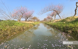 Dự b&aacute;o thời tiết 21/1: Miền Bắc đ&oacute;n kh&ocirc;ng kh&iacute; lạnh tăng cường cực mạnh, r&eacute;t đậm dưới 6 độ - Ảnh 3.