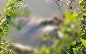 Vụ b&eacute; g&aacute;i bị s&aacute;t hại, phi tang x&aacute;c dưới vu&ocirc;ng t&ocirc;m: Bắt khẩn cấp nam thiếu ni&ecirc;n 16 tuổi - Ảnh 3.